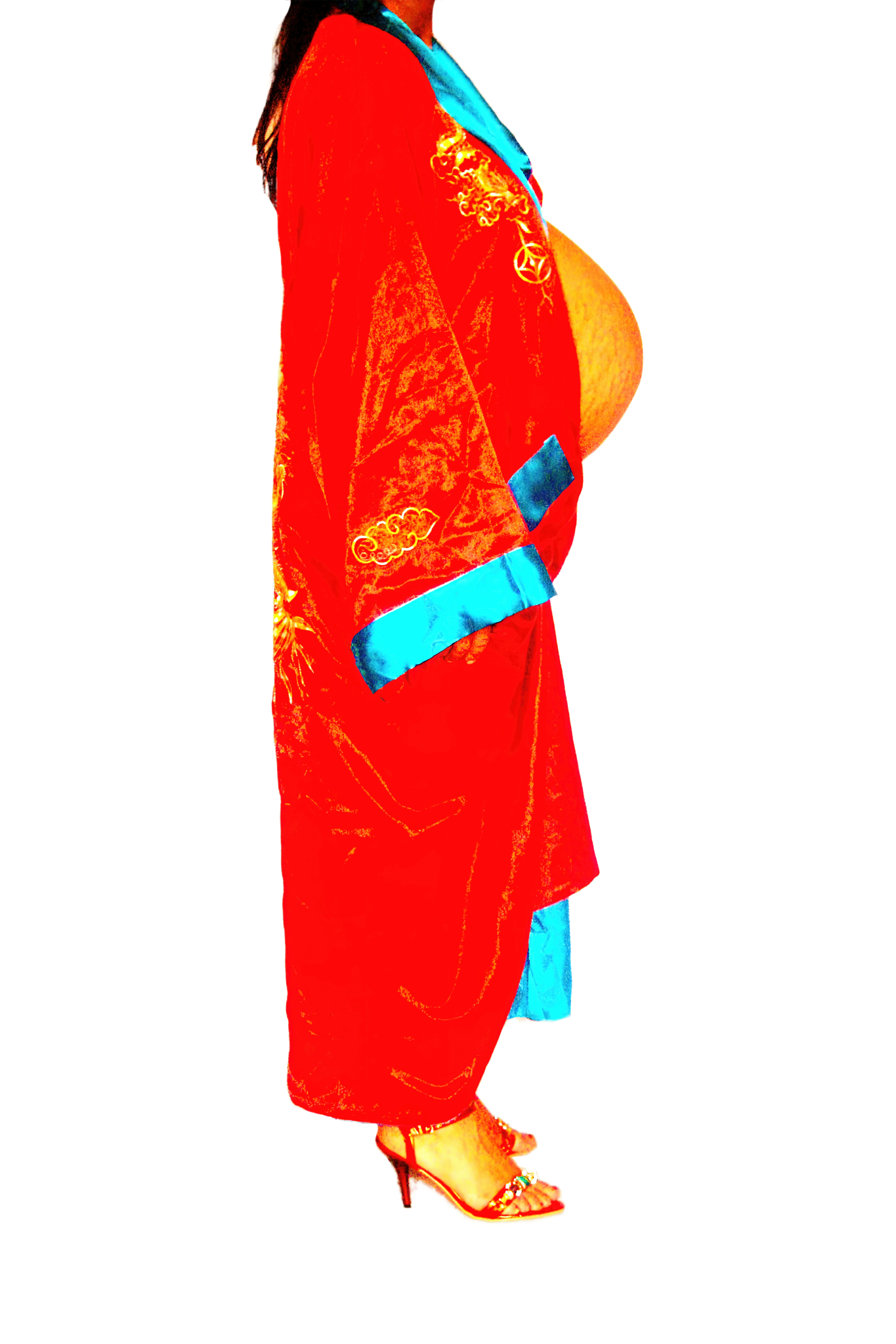 Le Corps Pansant - 2009